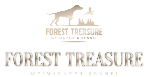 Forest Treasure kennel